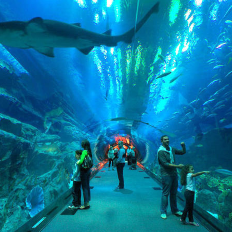 aquarium-la-rochelle-familles