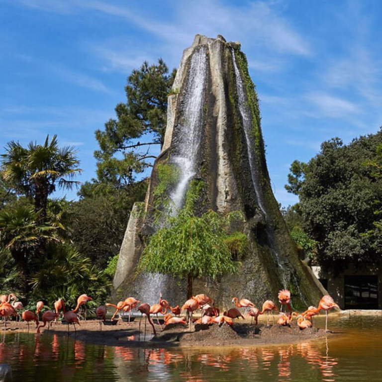 zoo-palmyre-familles-animaux